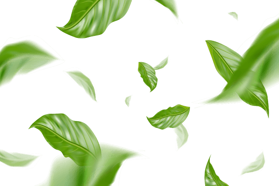 leaves image